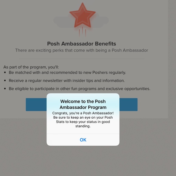 πPoshmark AmbassadorπSuggested User π - Picture 5 of 7