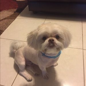 Meet your Posher, Nicki