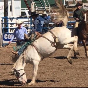 Meet your Posher, Tyler