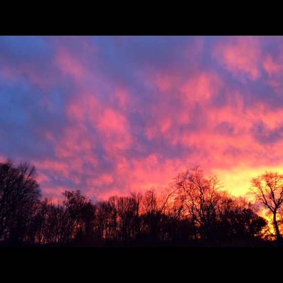 Meet your Posher, Angela - Picture 2 of 2