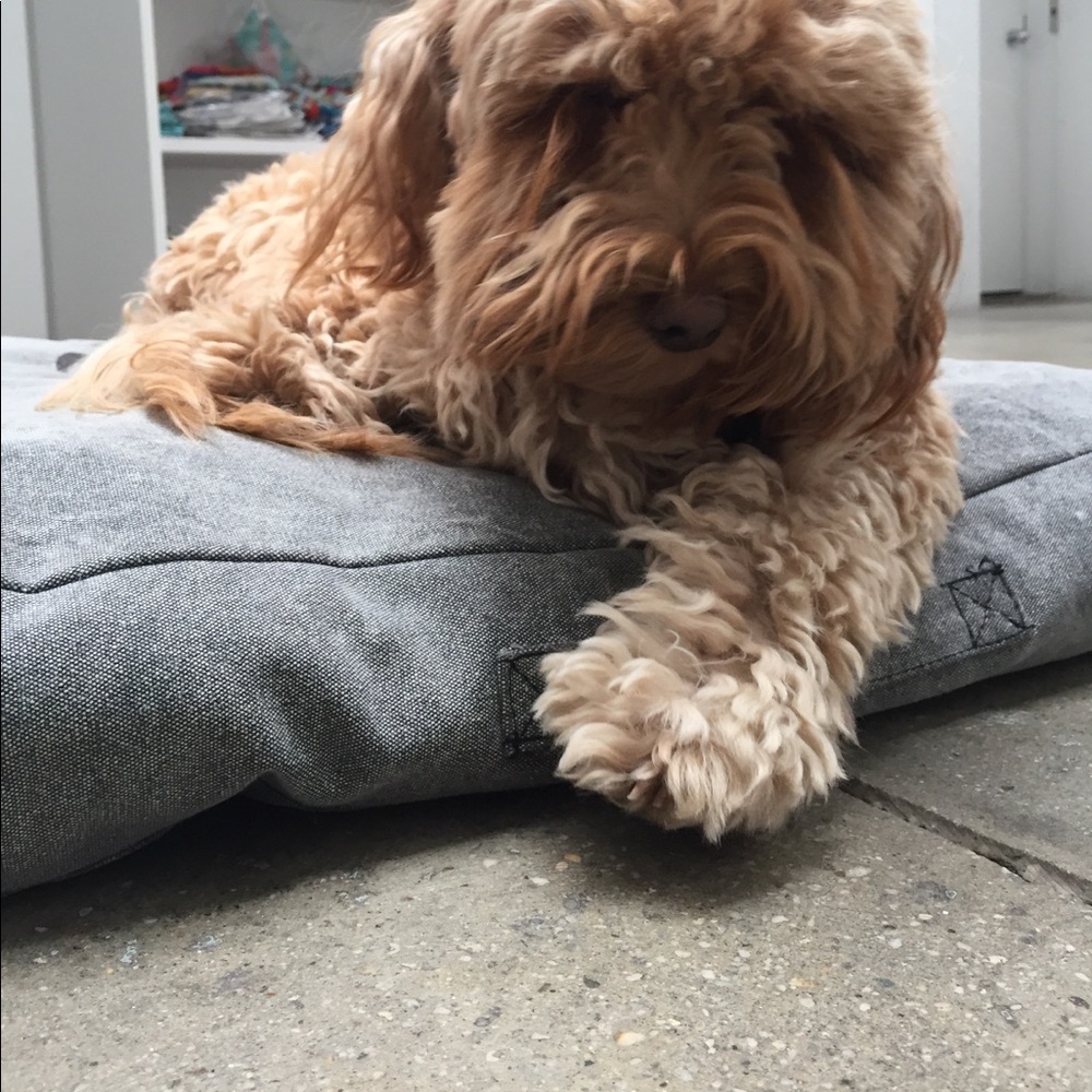 Meet your Posher, Sandy