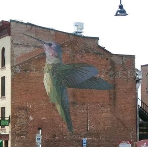 Meet your Posher, Cindy