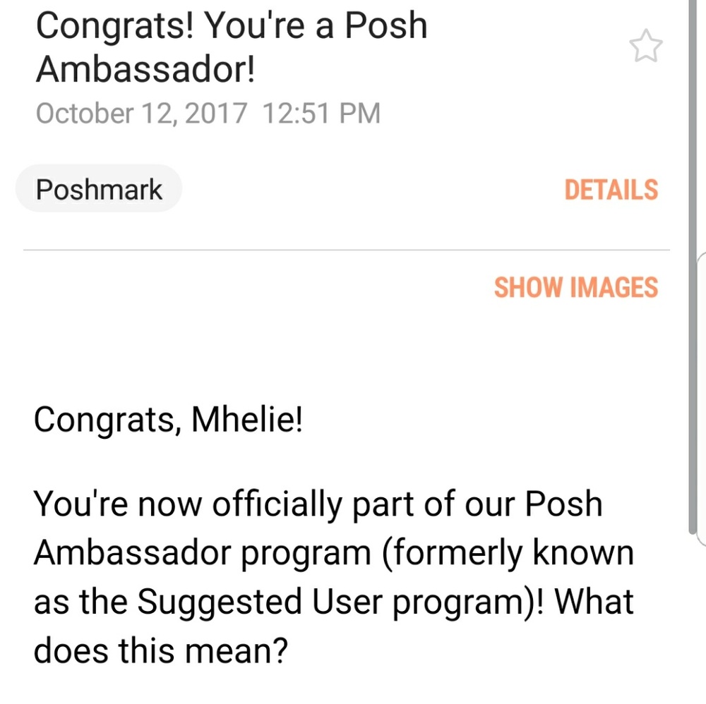 POSH AMBASSADOR - Picture 2 of 3