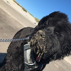 Meet your Posher, Melanie