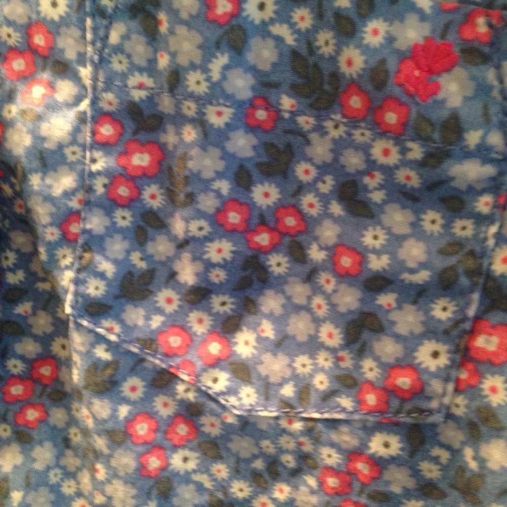 Cute Button Down Bundle - Picture 3 of 3