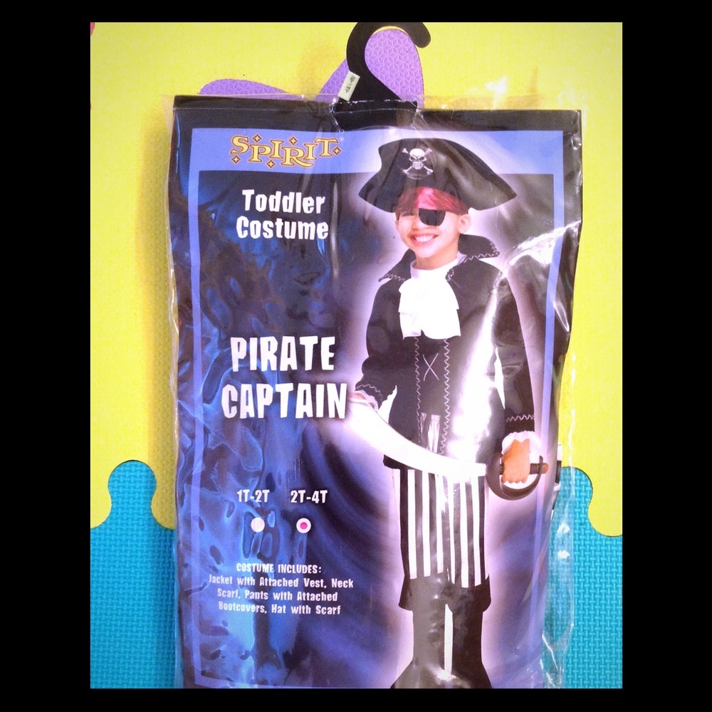 Handsome Pirate Captain Costume