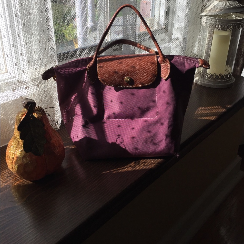 Longchamp bag