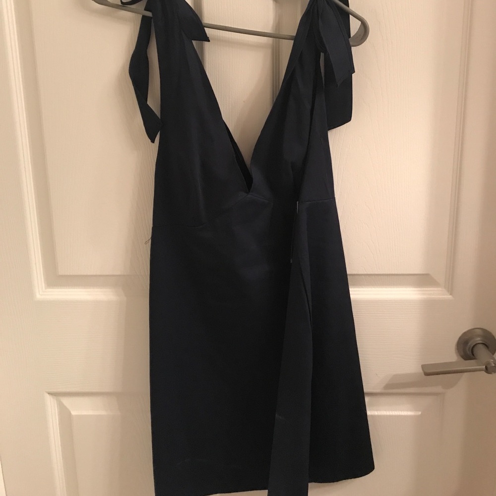 Zara Dress Trafaluc Edition