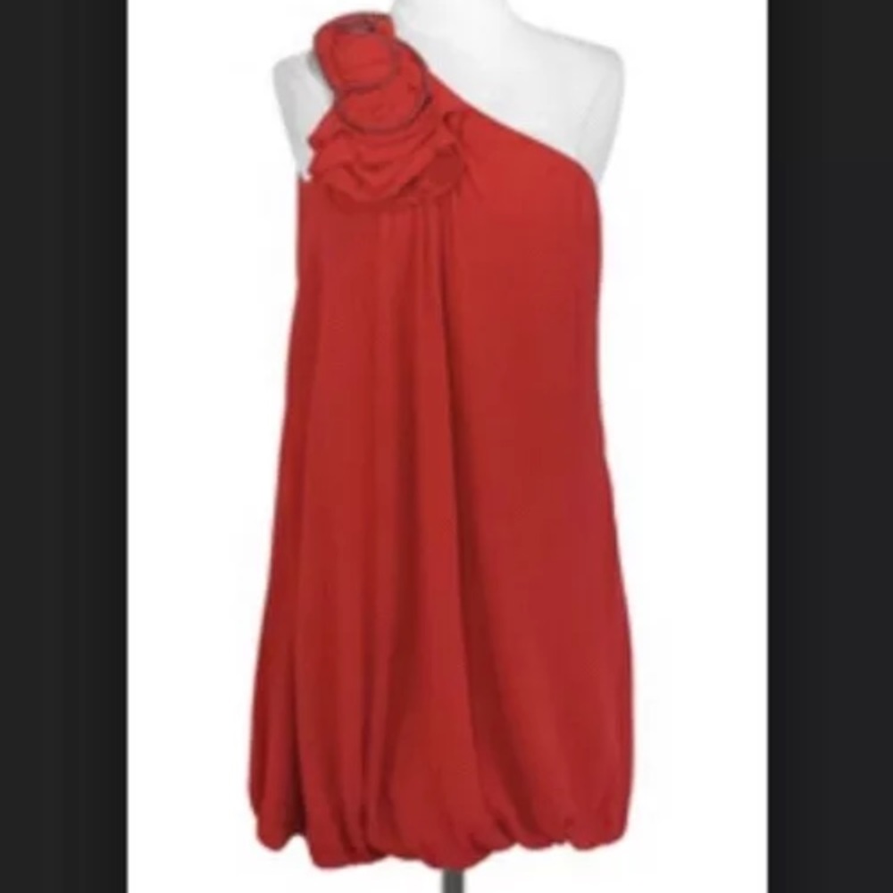HP! BCBG Flower Bubble Dress notes