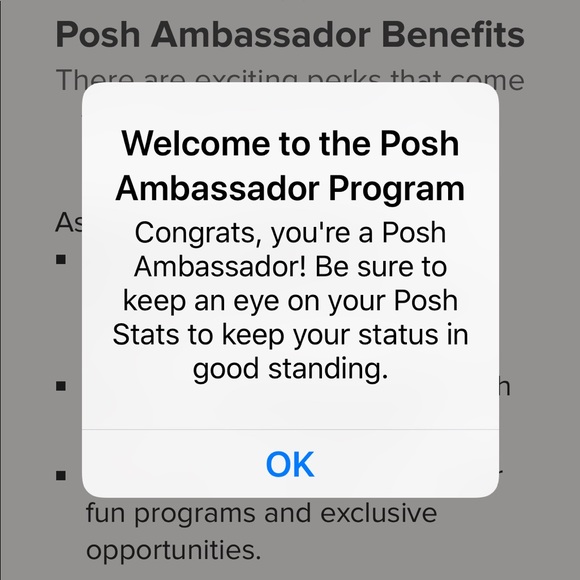 ✨POSH AMBASSADOR!✨ - Picture 4 of 4