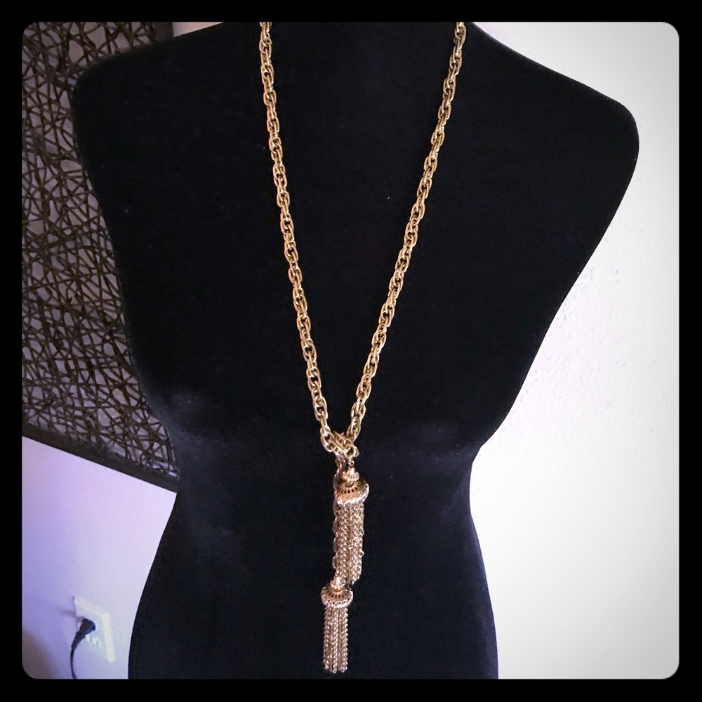 💥💥Gorgeous Tassel Necklace NWOT💥💥