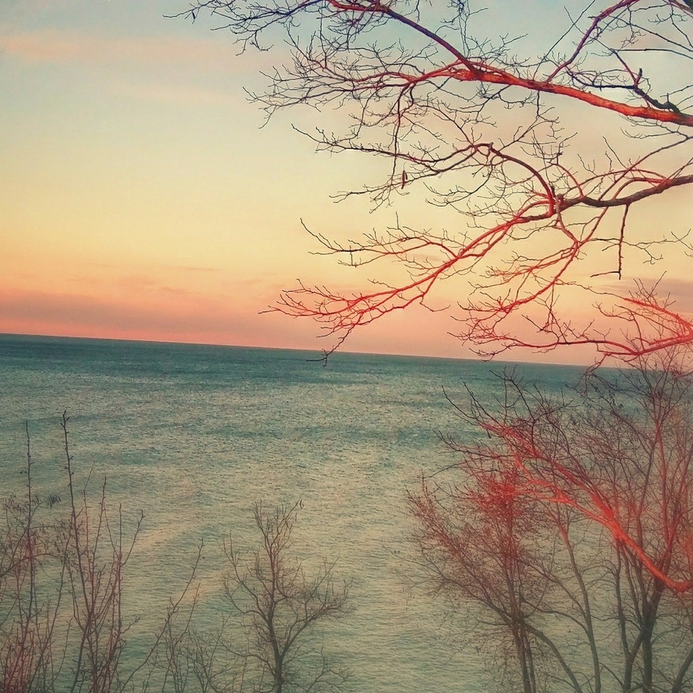 Meet your Posher, Sunny