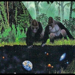 Meet your Posher, Josh