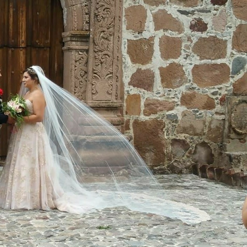 Rose gold Bridal /veil