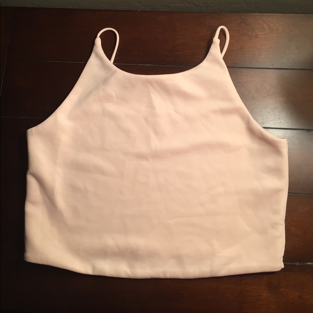 Blush Crop Top from Zara