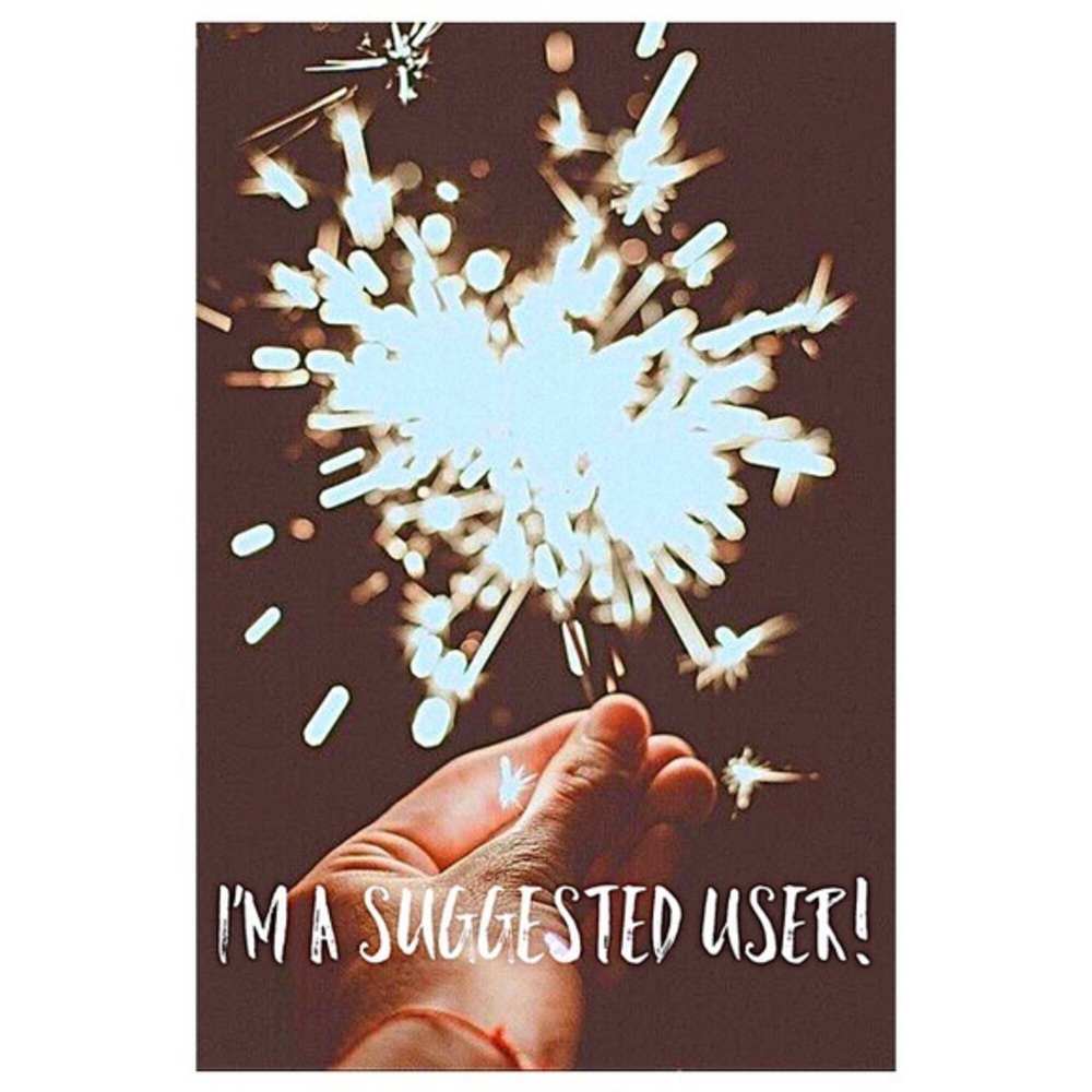 ✨Suggested User✨