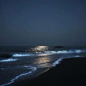 Meet your Posher, Darnelle