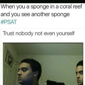 Meet your Posher, James