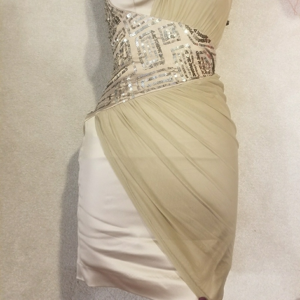 Bebe Dress - Picture 2 of 8