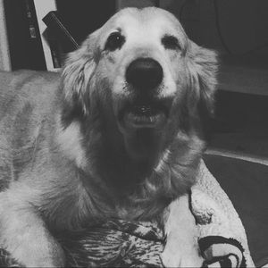 Meet your Posher, Katina