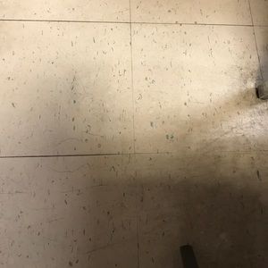 Meet your Posher, Jill