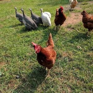 Meet your Posher, Erica