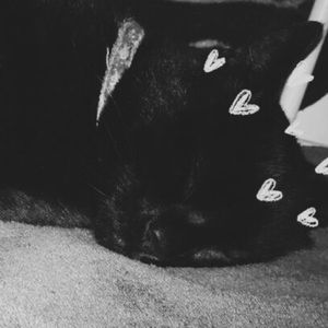 Meet your Posher, Daniella