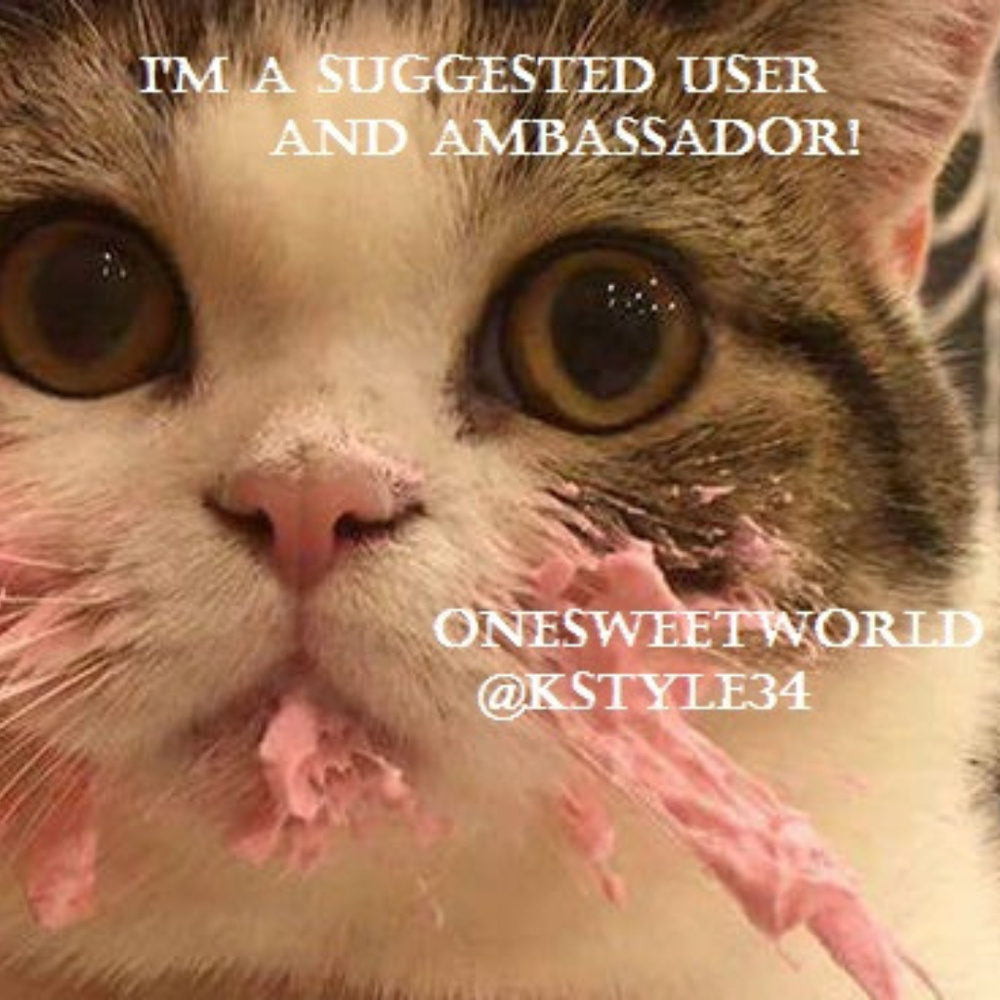 I'm officially a Posh Suggested User/Ambassador!