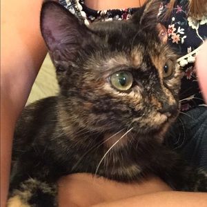 Meet your Posher, Mavv