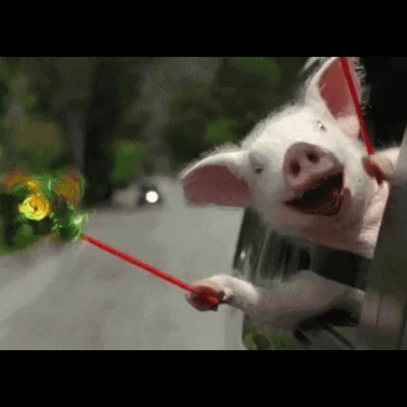 I'm a Posh Ambassador!! π - Picture 3 of 8