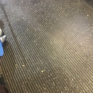 Meet your Posher, Judi