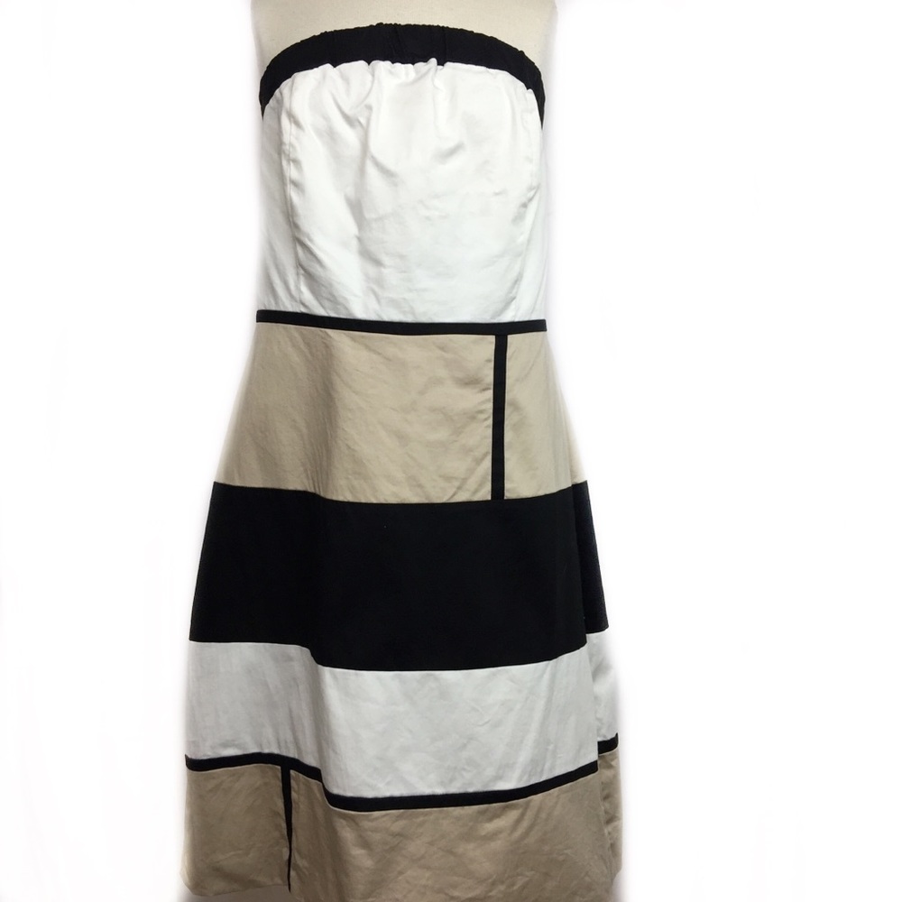 Ashley Stewart Women’s Dress size 14W