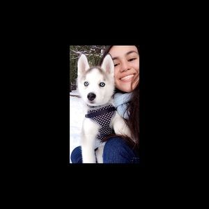 Meet your Posher, Natalie