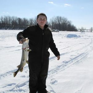 Meet your Posher, Timmy