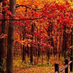 Meet your Posher, Audrey✨