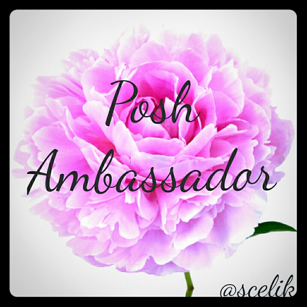 Posh Ambassador - Picture 1 of 1
