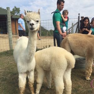 Meet your Posher, Jordyn