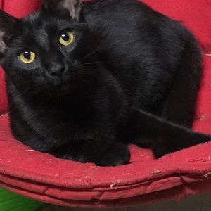 Meet your Posher, Olivia