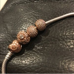 Pandora charms (Reserved)