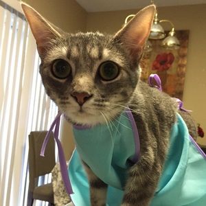 Meet your Posher, Oms