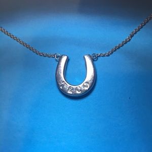 Tiffany & Co Horseshoe Sterling Sliver Necklace 16