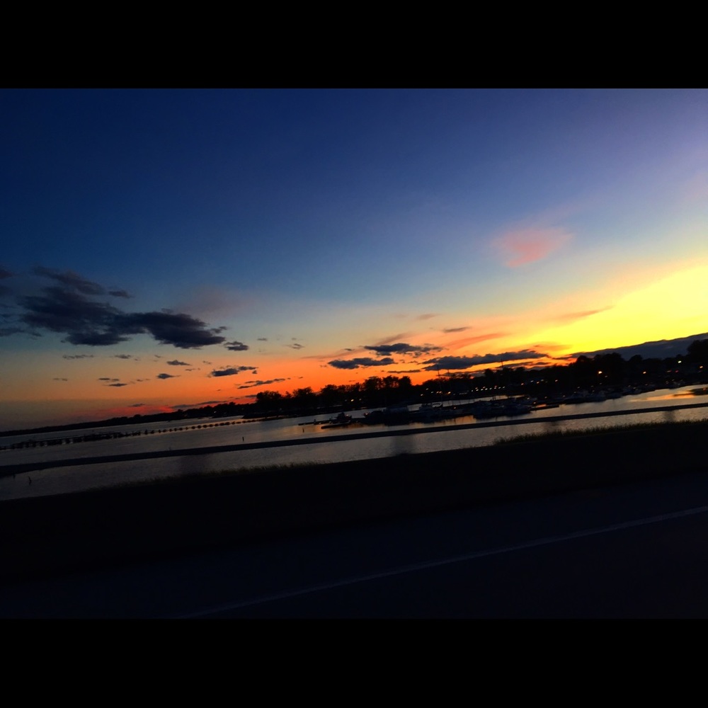 Meet your Posher, Bailey