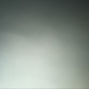 Meet your Posher, Bo