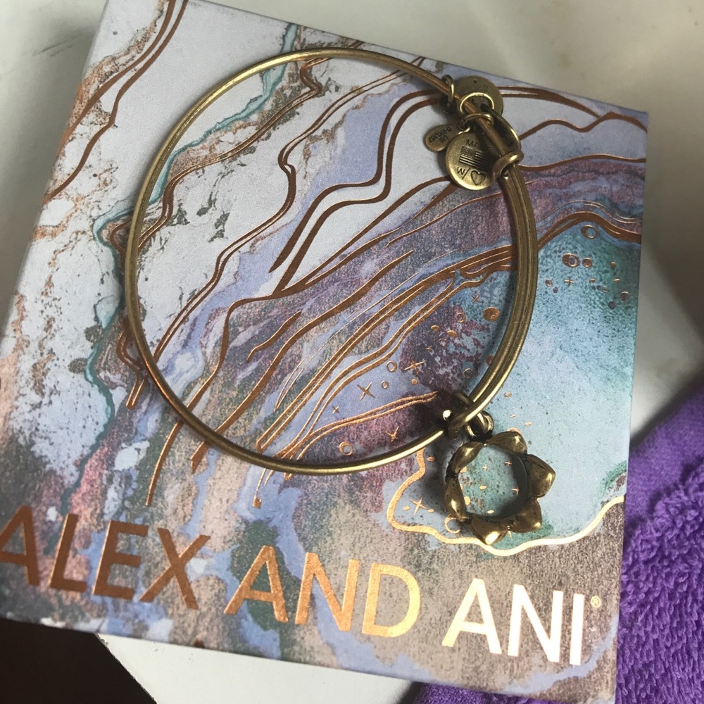 Crown Alex and Ani bracelet