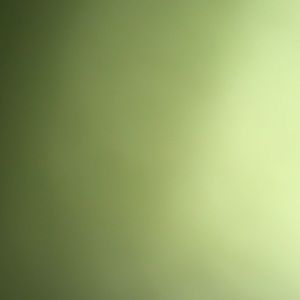 Meet your Posher, Dorian