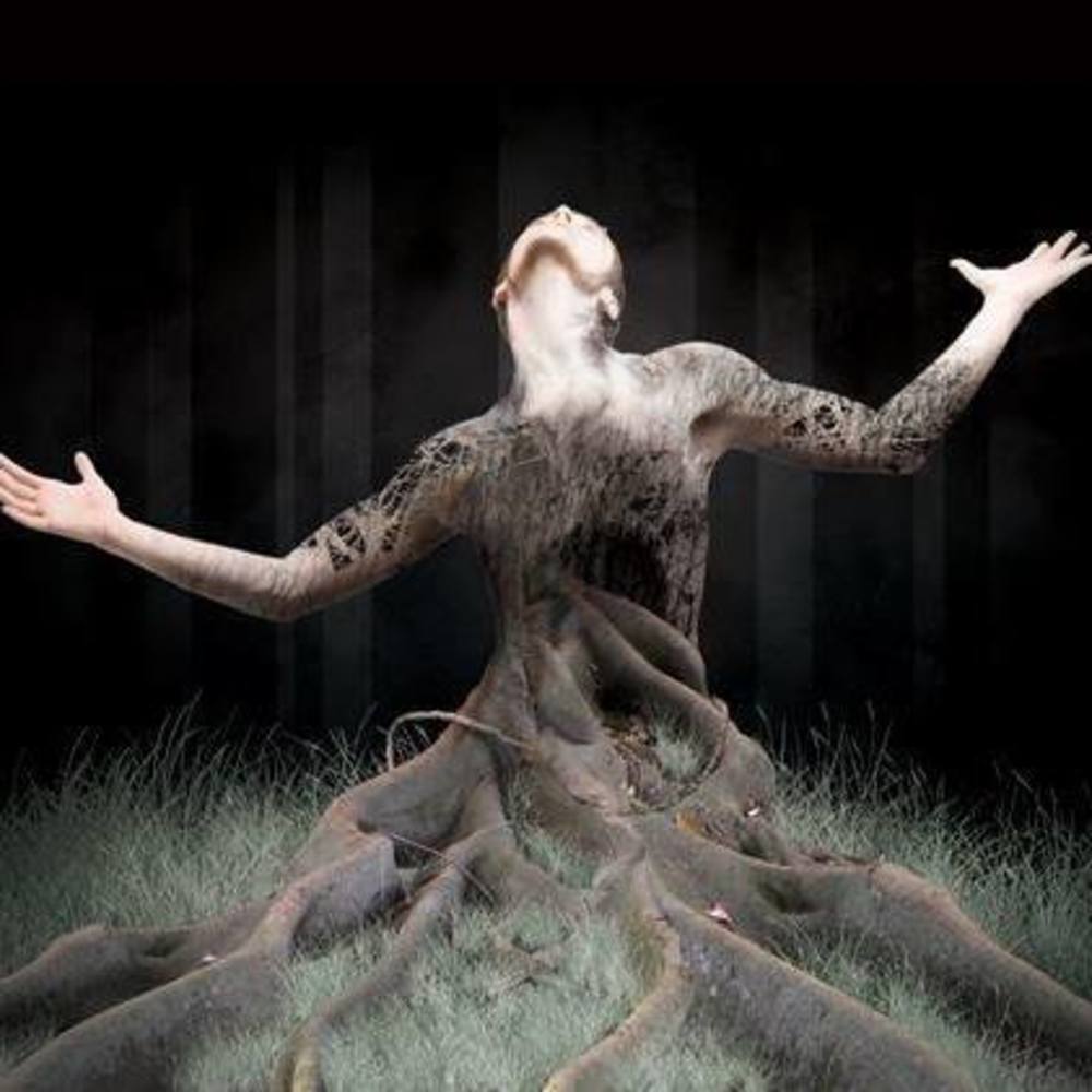 Meet your Posher, Caralee