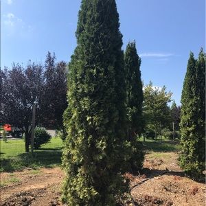 Meet your Posher, Jon