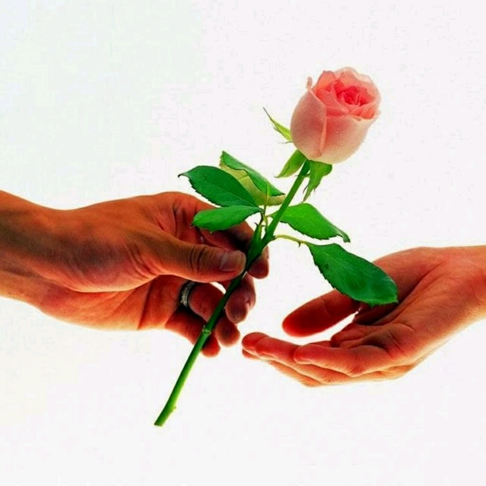 Meet your Posher, Luna