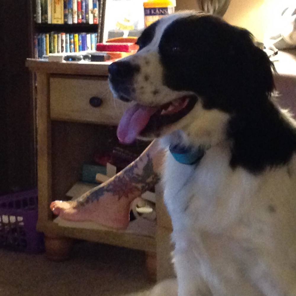 Meet your Posher, Marilyn