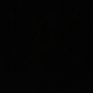 Meet your Posher, Tyson